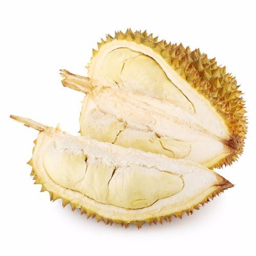 九游电竞平台官网产品名称二