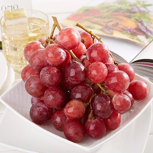 九游电竞平台官网产品名称五